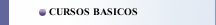 CURSOS BASICOS