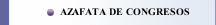 AZAFATA DE CONGRESOS